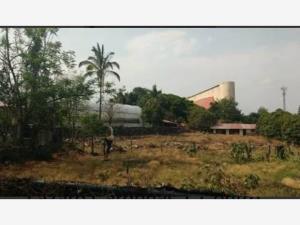 Terreno en venta en Centro Jiutepec, Jiutepec, Morelos