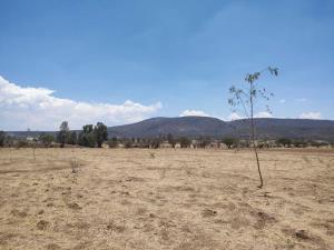 Terreno en venta en La Fuente, Tequisquiapan, Querétaro