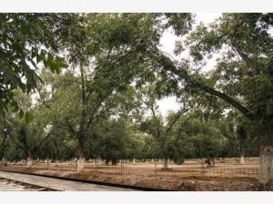 Terreno en venta en La Barranca, Torreón, Coahuila de Zaragoza