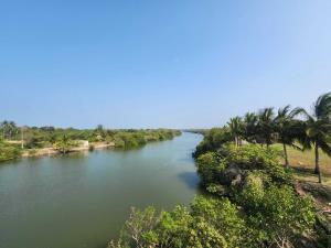 Terreno en venta en La Guadalupe, Pueblo Viejo, Veracruz de Ignacio de la Llave