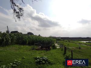 Terreno en venta en Los Pinos, Tlajomulco de Zúñiga, Jalisco