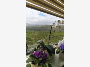 Departamento en venta en Villa Magna, San Luis Potosí, San Luis Potosí