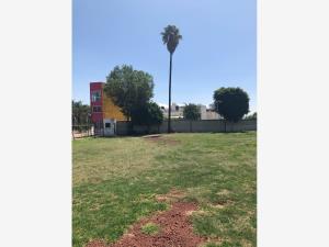 Terreno en renta en De San Andrés, San Andrés Cholula, Puebla