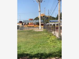 Terreno en renta en Camino Real a Cholula, San Andrés Cholula, Puebla