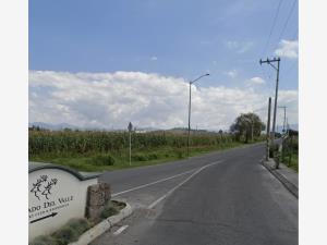 Terreno en venta en San Miguel Totocuitlapilco, Metepec, México