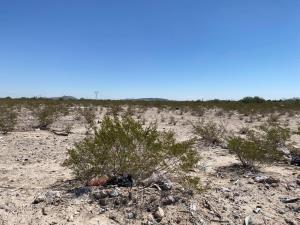 Terreno en venta en San Fernando, Lerdo, Durango