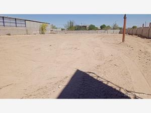 Terreno en renta en Valle del Guadiana, Gómez Palacio, Durango