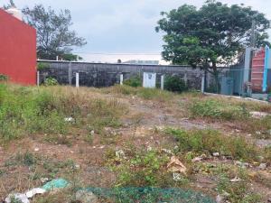 Terreno en renta en Pedro Ignacio Mata, Veracruz, Veracruz de Ignacio de la Llave
