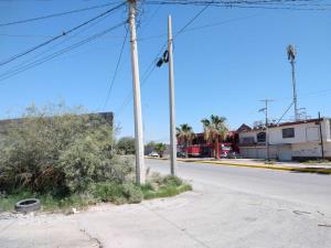 Terreno en renta en María Mercado de López Sánchez, Torreón, Coahuila de Zaragoza Terreno en renta en María Mercado de López Sánchez, Torreón, Coahuila de Zaragoza