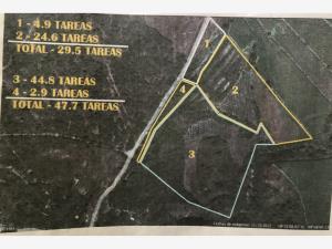 Finca-Rancho en venta en La Mezquitera (El Astillero), Tlaquiltenango, Morelos