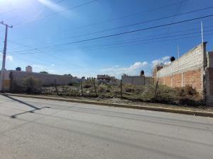 Terreno en venta en Jagüey de Tellez (estacion Tellez), Zempoala, Hidalgo