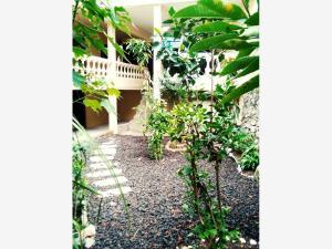 Casa en venta en Cuauchiles, Jiutepec, Morelos