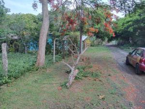 Terreno en venta en La Aguada, Alvarado, Veracruz de Ignacio de la Llave