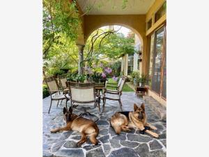 Casa en venta en Emiliano Zapata, Xalapa, Veracruz de Ignacio de la Llave Casa en venta en Emiliano Zapata, Xalapa, Veracruz de Ignacio de la Llave