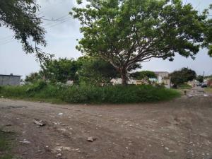 Terreno en venta en Anton Lizardo, Alvarado, Veracruz de Ignacio de la Llave