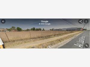 Terreno en renta en San Francisco Tesistán, Zapopan, Jalisco