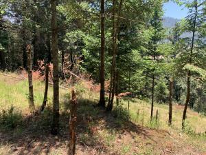 Terreno en venta en Piedra Grande, Huixquilucan, México
