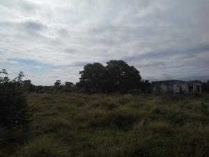 Terreno en venta en Medellín, Medellín de Bravo, Veracruz de Ignacio de la Llave