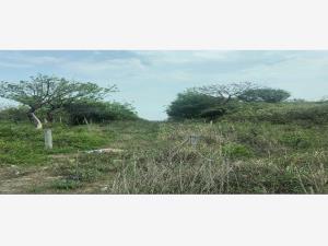 Terreno en venta en Real Mandinga, Alvarado, Veracruz de Ignacio de la Llave Terreno en venta en Real Mandinga, Alvarado, Veracruz de Ignacio de la Llave