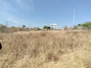 Terreno en renta en Atlixco 90, Atlixco, Puebla