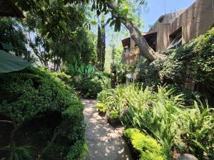 Terreno en venta en Tlacopac, Álvaro Obregón, Ciudad de México