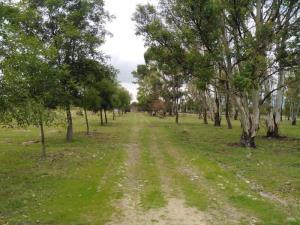 Finca-Rancho en venta en Galindillo, Amealco de Bonfil, Querétaro