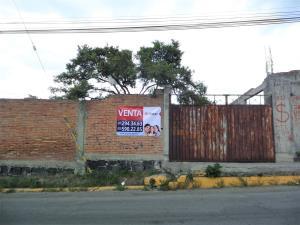 Terreno en venta en Santa Clara Ocoyucan, Ocoyucan, Puebla