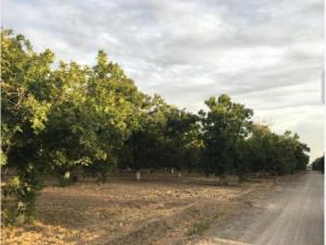 Terreno en venta en La Barranca, Torreón, Coahuila de Zaragoza Terreno en venta en La Barranca, Torreón, Coahuila de Zaragoza