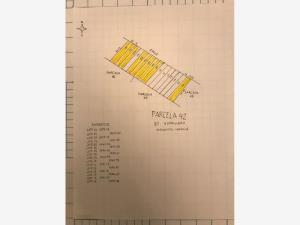 Terreno en venta en Hormiguero, Matamoros, Coahuila de Zaragoza