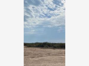 Terreno en venta en Mieleras, Torreón, Coahuila de Zaragoza