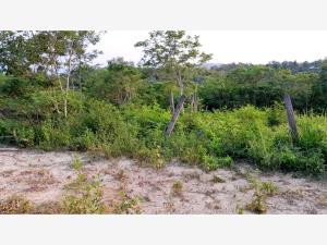 Terreno en venta en Salvador Allende, Poza Rica de Hidalgo, Veracruz de Ignacio de la Llave