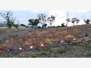 Terreno en venta en Arroyo del Maíz Uno, Poza Rica de Hidalgo, Veracruz de Ignacio de la Llave
