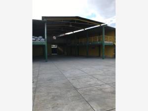 Bodega en venta en El Aguaje, San Luis Potosí, San Luis Potosí
