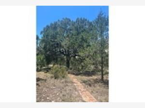 Terreno en venta en Arteaga Centro, Arteaga, Coahuila de Zaragoza