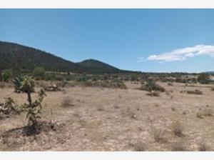 Terreno en venta en San Antonio de las Alazanas, Arteaga, Coahuila de Zaragoza