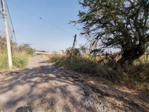 Terreno en venta en San Miguel La Unión, Xochitepec, Morelos