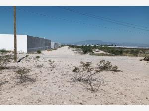 Terreno en renta en Valle Real, Arteaga, Coahuila de Zaragoza