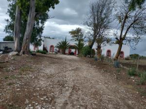Finca-Rancho en venta en Cuapiaxtla de Madero, Cuapiaxtla de Madero, Puebla