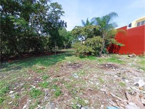 Terreno en venta en Las Palmas, Fortín, Veracruz de Ignacio de la Llave