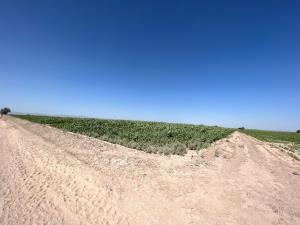 Terreno en venta en Ejido Ana, Torreón, Coahuila de Zaragoza Terreno en venta en Ejido Ana, Torreón, Coahuila de Zaragoza