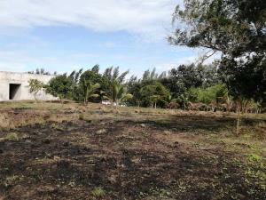 Terreno en venta en San Francisco, Medellín de Bravo, Veracruz de Ignacio de la Llave