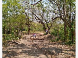 Terreno en venta en Las Joyas, Palenque, Chiapas