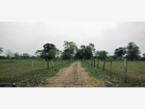 Finca-Rancho en venta en Las Mariposas, Cosamaloapan de Carpio, Veracruz de Ignacio de la Llave