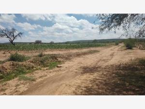 Terreno en venta en San Jose Navajas, El Marqués, Querétaro