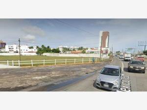 Terreno en renta en Camino Real, Boca del Río, Veracruz de Ignacio de la Llave
