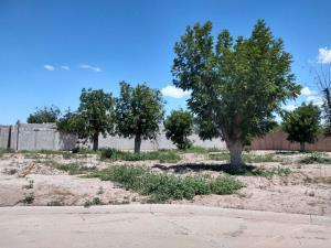 Terreno en venta en La Barranca, Torreón, Coahuila de Zaragoza
