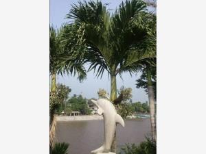 Finca-Rancho en venta en La Posta, La Antigua, Veracruz de Ignacio de la Llave