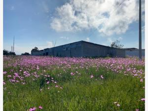 Finca-Rancho en venta en El Charcón, Nopala de Villagrán, Hidalgo