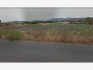 Terreno en venta en Buenavista, Huimilpan, Querétaro