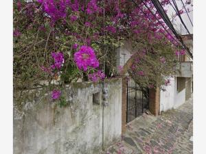 Casa en venta en Xalapa Enríquez Centro, Xalapa, Veracruz de Ignacio de la Llave